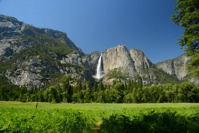 DSC_2367 (Large).JPG